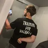 vaelerio