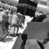 anis01.x