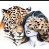 asena_555_
