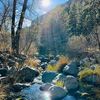 naturespeaksemotions