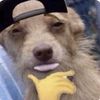 doritos...cool...ranch