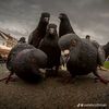 headspawr