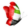 um_mansoor.ae