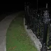 gravityboys