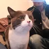 mozzy_and_snow