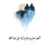 aseel_676
