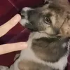ziamirandaaa