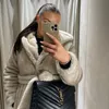 alina_anastasiia