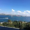 papatya20204