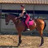 roo_c_90