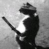 condeso_the_cat