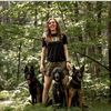 birch.sage.dog.training
