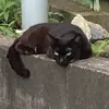 kankeinainoyo