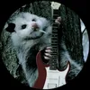 musicola111