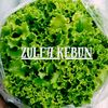 Zulfa Kebun