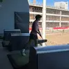 yaybrian