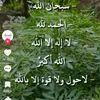 dllachamchamily