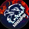 mn33pgi