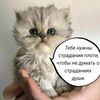 tot_samiy_sapport