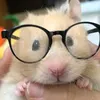 alex_tapochek