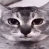 n0b0dy470