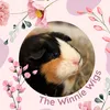 thewinniewigs