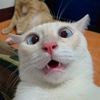 amsyrfkhrll