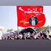 محبين شيخ عشيرة عتبه