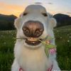 www.tiktok.comk378