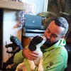 swanndog99