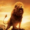 sth.lionheart.music