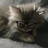 kai_sleepy
