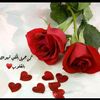 hdoo13318