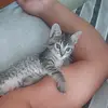 josemen_23