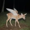flymiamidoe22