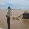 11kimhoa12