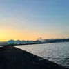monky031