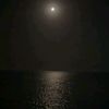 mohammedalhamid19