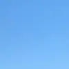 dan_825