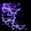 purple_butterfly666