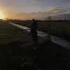 liekeaniekdehaan