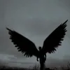 scarlletiscander