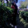 mommy_mona01