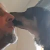 stanley__005