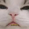 spacialwitch