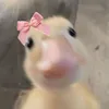 lavzshie