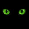 observador_virtual
