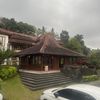 kadangpelakukadangkorban