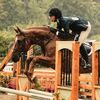 khorsegirl290