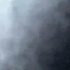 elianiii10